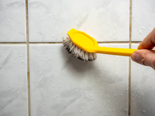 Best Local Mold Removal Service  in Morgan, UT